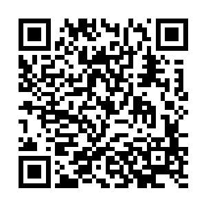 但是可能把心思完全放在画作上而特别单纯的原因吧二维码生成