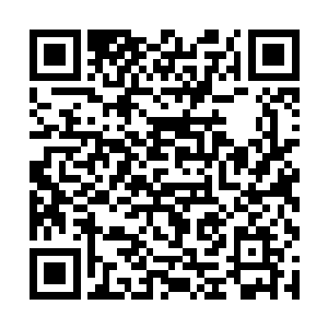 但是可能还会和觊觎山姆集团很久的吸血鬼们作斗争二维码生成