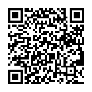 但是叶君主的能力也是我们一直看着成长起来的……二维码生成
