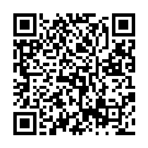 但是叶家的当家夫人却是那种让你连嫉妒都嫉妒不起来的人二维码生成