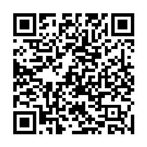 但是叶璃又岂是一般的柔弱女子能够那么容易让他拉到二维码生成