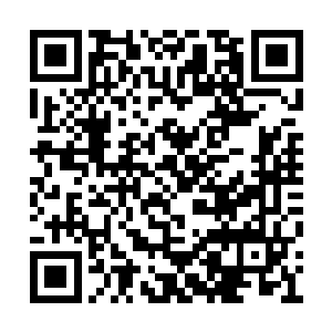 但是叶璃这几句话还是说的叶老夫人十分高兴的二维码生成