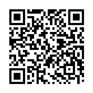 但是司南下的小九九现在完全发生了变化二维码生成