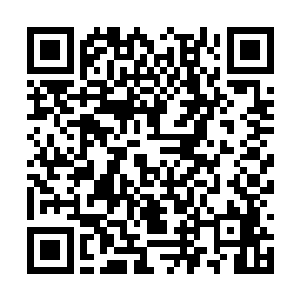 但是同样的对于杨戬等人来说这也是一个超级隐患二维码生成