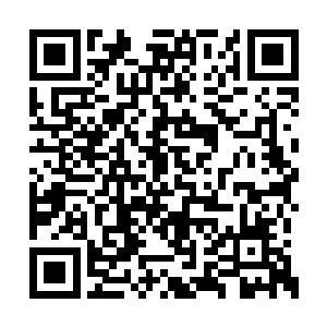 但是后来在时间阵法里面一起生活了无数的岁月二维码生成