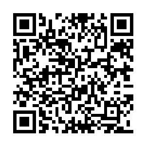 但是后续的力量尚未完全爆发就被护罩生生切阻二维码生成