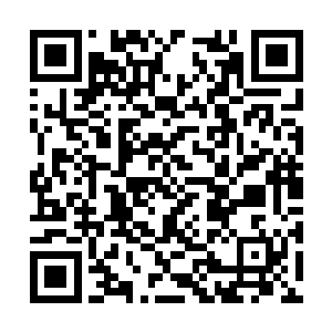 但是后面那可以拓展三份真级七品以下的功法战技二维码生成