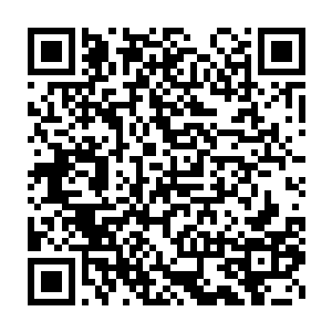 但是向文东还是觉察到了蓝岛外表灿烂的内里却是一种惯性的迟缓二维码生成