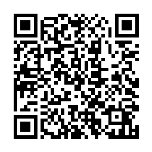 但是周围那些看热闹的人一个个的也全都是蠢蠢欲动二维码生成