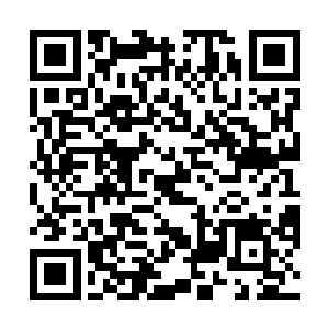 但是和孙子轩的老婆们中的任何一个比起来也差的很远二维码生成