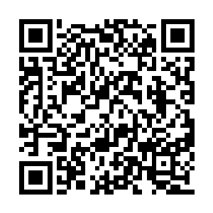 但是和洪荒现在的后天灵气比起来还是差不多的二维码生成