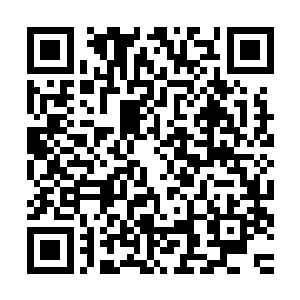 但是和深渊魔虎打着同样的主意……它更希望未来可以走得更远二维码生成