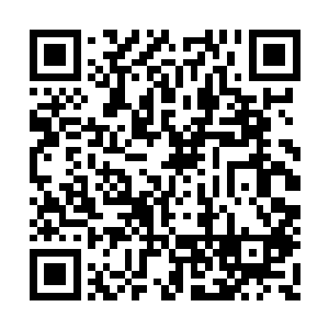 但是回到番疆以后如何生存还要多多仰仗阿克拉二维码生成