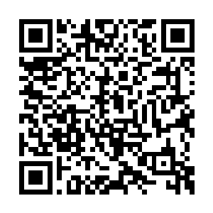 但是因为力莲阿母和阿父的缘故一直也是在挣扎二维码生成