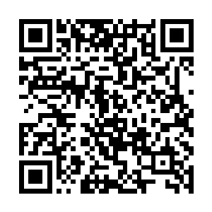 但是因为后者拥有一连串恐怖的传奇专长来强化自身二维码生成