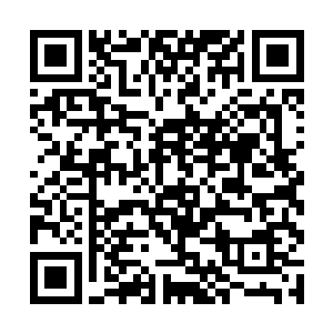 但是因为墨少轩的气质从来没有一丁点女儿家的娇柔二维码生成