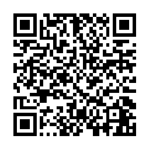 但是因为她的玩家光环或者还有魅力值幸运值什么的二维码生成