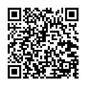 但是因为对方只是一个三灵根资质的普通外门修士二维码生成