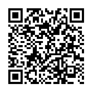 但是因此就要将自己的自由与身份完全绑给你们二维码生成