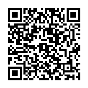 但是在一个天尊中期两个天尊初期高手的围杀之下二维码生成