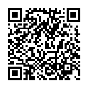 但是在为了她而专门精修了心理学的洛天子面前二维码生成