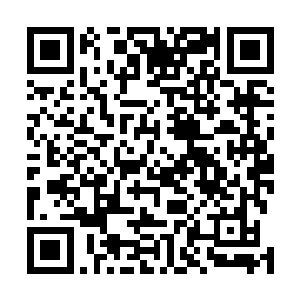 但是在任琦宁到底娶中原女子为后还是北境女子的问题上二维码生成