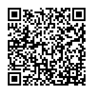 但是在公开诚大家都不会承认不会挑明的……你真的该到外交口来好好补课二维码生成