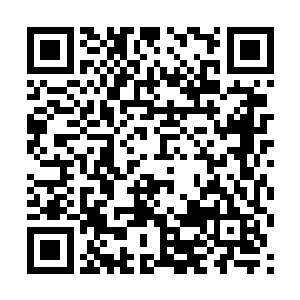 但是在再次看向雪如楼的时候她却是猛然想起了什么二维码生成