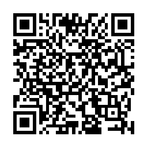 但是在叶秋的心里还是将这两个小家伙当做了一般的孩子二维码生成