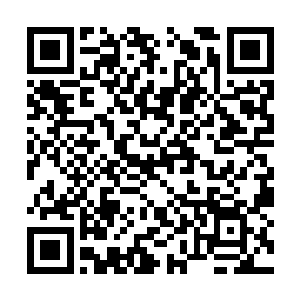 但是在周围这些修士的眼中却完全不是那么回事儿二维码生成