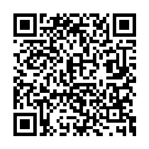 但是在场的大儒与大学士却都清楚月树神罚之事二维码生成