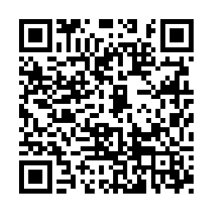 但是在外人面前也很自然的就把保护壳竖立起来二维码生成