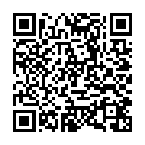 但是在它后面还有一个让守护家族都不敢得罪的团长二维码生成