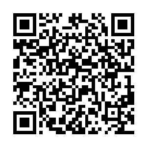但是在想到白面的身体状况之后就对着叶秋他们说道二维码生成