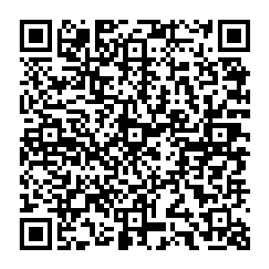 但是在感受到血妖姬之力那种比它们不知道高级多少个层次的吞噬力量后立即心惊的尖叫起来二维码生成