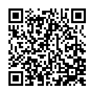 但是在暗碉里观战的傅重山等人却能看得一清二楚二维码生成