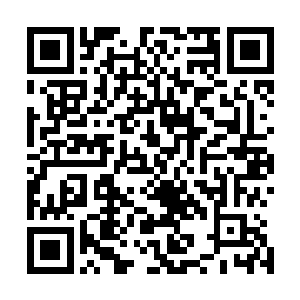 但是在现场亲耳听到苗坤生对侯爱莲老人说自己是她的儿子二维码生成