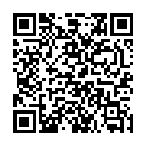 但是在着沐剑枫与司徒磊二人的威逼利诱下只好放弃了投降二维码生成