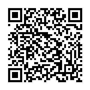 但是在经历了刚刚苏青黛那一场不动声色的战斗之后二维码生成