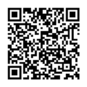 但是在罗守善等人簇拥着祁象走了进来的一刹那二维码生成