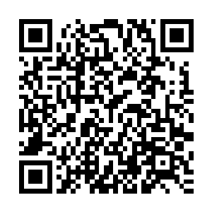 但是在许紫烟的周围立刻又出现了十六只仙王中期巅峰的魂兽二维码生成