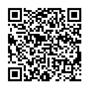 但是在这下面可是封印着一个圣级九层后期巅峰的混沌兽二维码生成