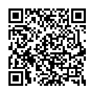 但是在这两个大修士面前却实实在在地是小字辈二维码生成