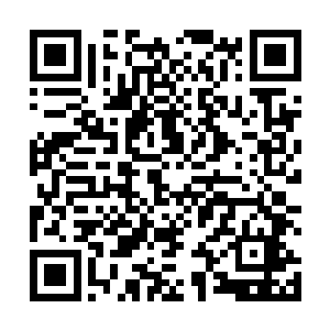 但是在这个圈子里或许只有他这样的人才能够生存下去二维码生成