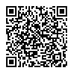 但是在这个时候小金龙顿时化作了一条巨大的金龙朝着这个外星人那边扑了过去二维码生成