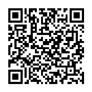 但是在这个时空气泡之中他们的能力是完全无法突破出来的二维码生成