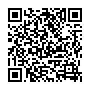 但是在这些圣级大修士眼中却并不怎么看在眼里二维码生成