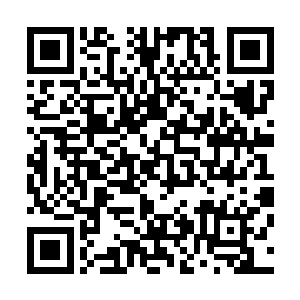 但是在门口看着的秦嫣然还有田云云等人却是看了心惊肉跳二维码生成