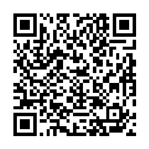 但是在门和许紫烟等天尊之间出现了一个不大不小的池塘二维码生成