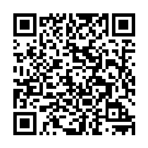 但是在陆婉儿的眼神中却是看不到半年对顾瑜轩的爱慕二维码生成